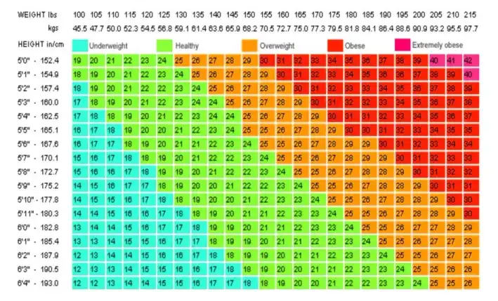 BMI chart for adults